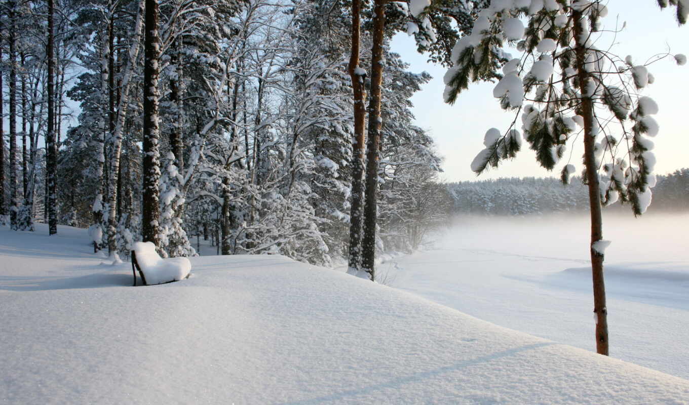 зима, лес, скамья, снег, desktop, scenery, trees, landscape, 