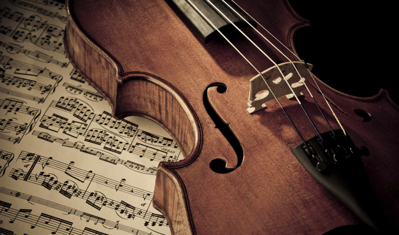 ,concert, ноты, department, скрипка, 