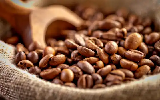 coffee, java, seed, мешок