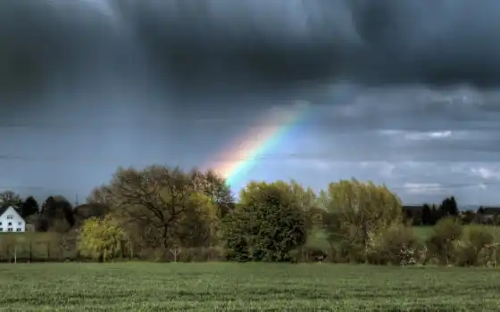 regenbogen, bume, hintergrund, desktop, amazing, april, campo, mixed, 