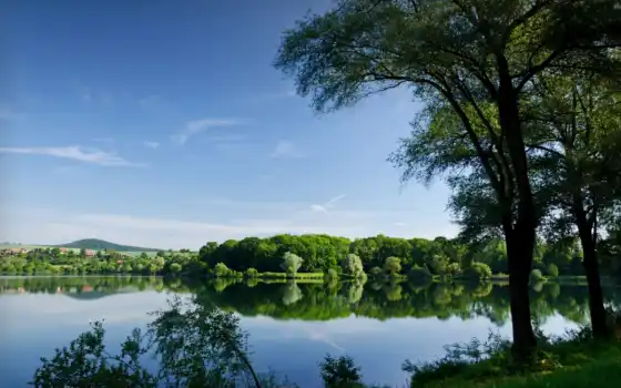 деревя, река, summer, отражение, озеро, reservoir, природа, 