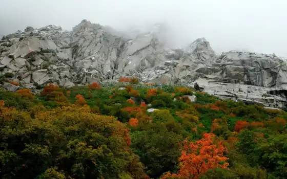 , горы, скалы, nature, осень, wallpapers, осенние, гор, деревья, mountain, wallpaper, 