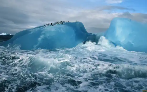 антарктида, ocean, full, mac, коллекция, разные, пингвины, iceberg, 