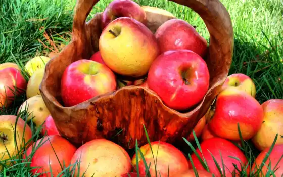яблоки, еда, плод, корзина, трава, red, картинка, сочный, summer, фото