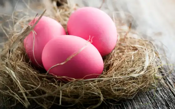 яйца, easter, пасхальные, праздники, nest, розовый, картинка, пасху, color, розовые, 