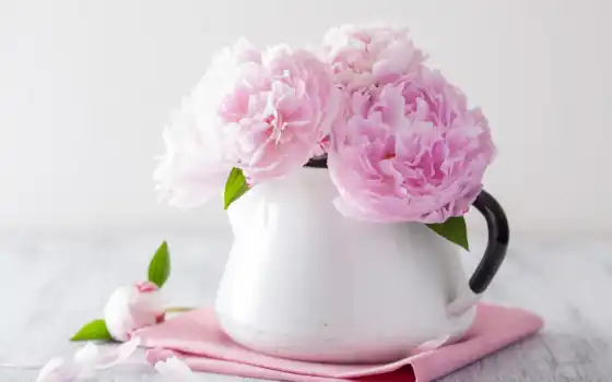 пионы, вазе, розовые, букет, cvety, пион, красивый, розовый, картинка, белой, стоковые, 