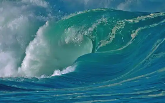 волна, tsunami, ocean, fact