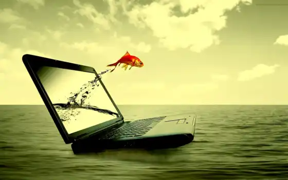 ноутбук, вода, рыбка, море, заработать, download, motion, ноутбука, прыжок, красивая, интернет, компьютер, рисунки, descargar, линда, resolution, 