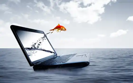 ماهی, ноутбук, вода, рыбка, fish, море, заработать, рыба, قرمز, download, ноут, прыжок, интернет, laptop, motion, fly, ноутбука, های, عکس, 