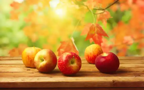 осень, яблоки, листва, плод, урожай