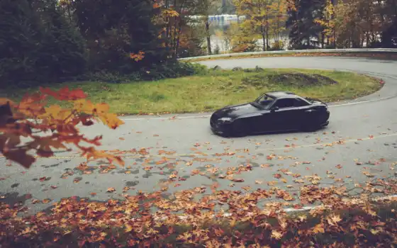 honda, чёрная, black, осень, листья, машины, обои,