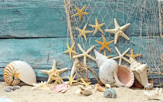 ракушки, морские, звезды, песок, seashells, starfish, marine, разное, wood, сетка, 