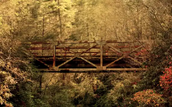 мост, осень, листья, старый, лес, carolina, пейзажи -, южная, 