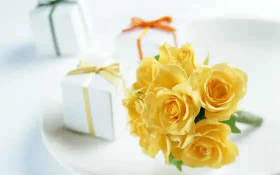 flowers, gifts, flower, nature, roses, yellow, teşekkür, love, desktop, 