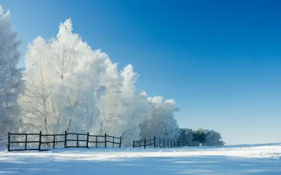 ,, зимний, небо, снег, природный ландшафт, природа, дерево, холодный, мороз, облако, 