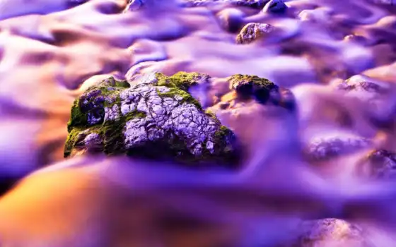 purple, туман, море