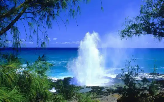 kauai, spouting, horn, пейзаж, island, free, всем, you, пейзажи, one, сша, моря, гейзер, морской, hawaiian, download, 