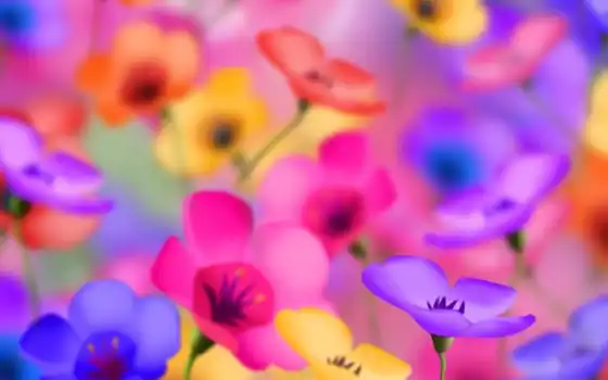 цветы, яркий, взгляд, positive, colorful, 