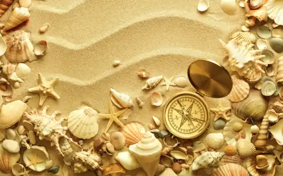 песок, раковины, ракушки, компас, beach, best, pack, shell, звезды, про, nautical, космос, морские, изображения, 