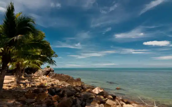 samui, ko, island, пляж, небо, океан, море, пальмы, камни, тайланд, download, 