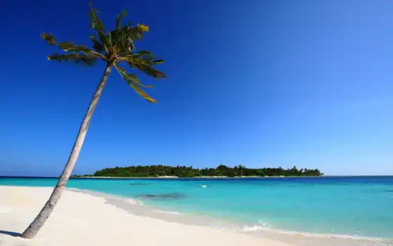 maldives, песок, пальмы, море, остров, пляж, palm, 