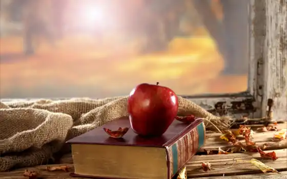 книги, следы, интересные, книгах, apple, красивые, кого, люди, книге, лежит, 