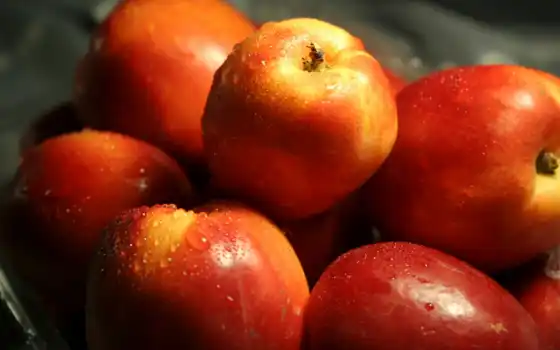 яблоки, плод, оранжевый, drop, телефон, еда, water
