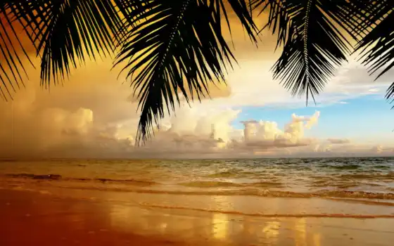 пляж, landscape, песок, небо, облака, природа, закат, море, пальмы, 