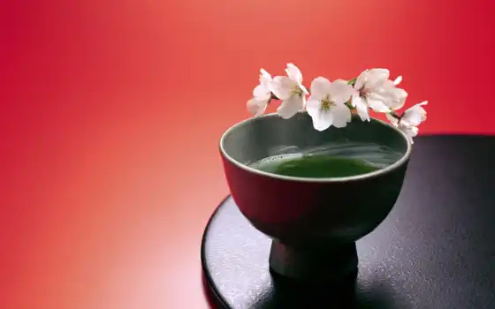 japanese, still, life, tea, taza, use, download, отличных, elegance, сборник, jap, japelegance, 