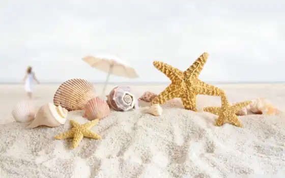 море, песок, морская звезда, ракушки, макро, зонт, девушка