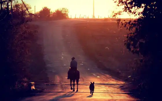 лошадь, собака, zakat, priroda, дорога, пейзаж, солнце, 