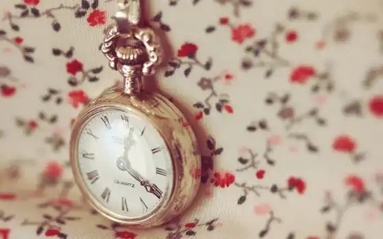часы, макро, время, цепочка, циферблат, цветочки, watch, кнопкой, 