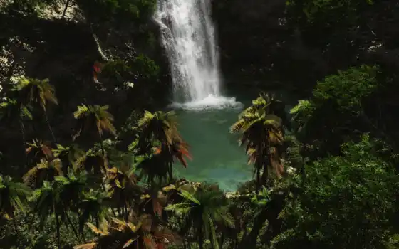 природа, водопад, best, водопады, full, тропические, цветы, пальмы, 