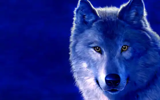 синий, рисунок, изображение, picture, фоне, волк, волки, волка, голубом, sight, волков, ледяной, волками, 