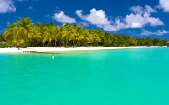 море, взгляд, песок, тропики, пляж, пальмы, maldives, 