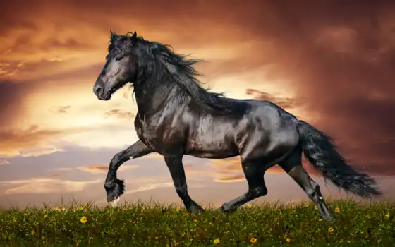 животные, лошади, лошадь, run, лошадей, красивые, full, широкоформатные, freedom, графика, 