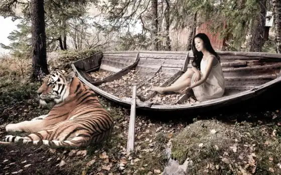 тигр, девушка, листья, лодка, девушки, опавшие, деревья, 