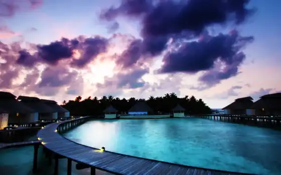 пальмы, ocean, maldives, воде, разных, фиолетовые, бунгало, мальдивах, сине, 