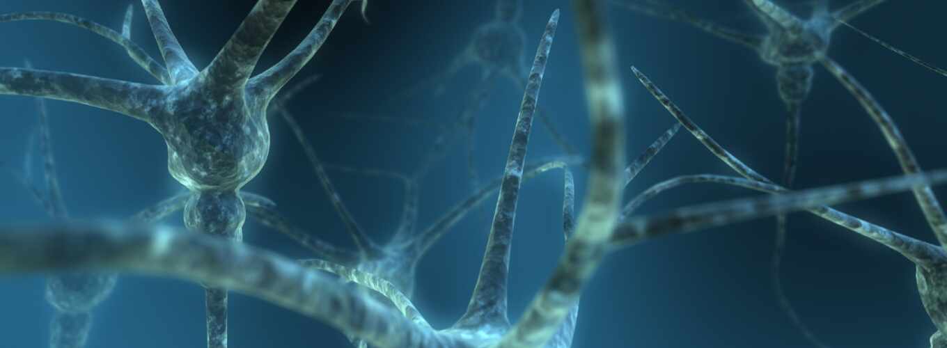 нейроны, связи