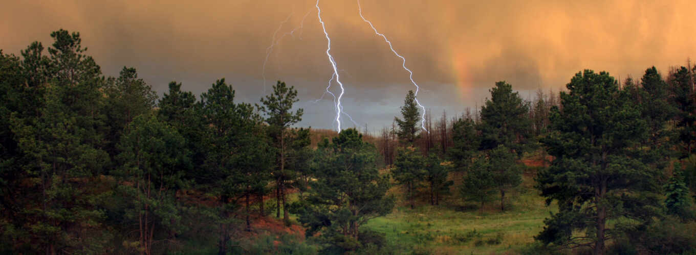 nature, sky, ipad, the storm, night, forest, air, forest, lightning, core