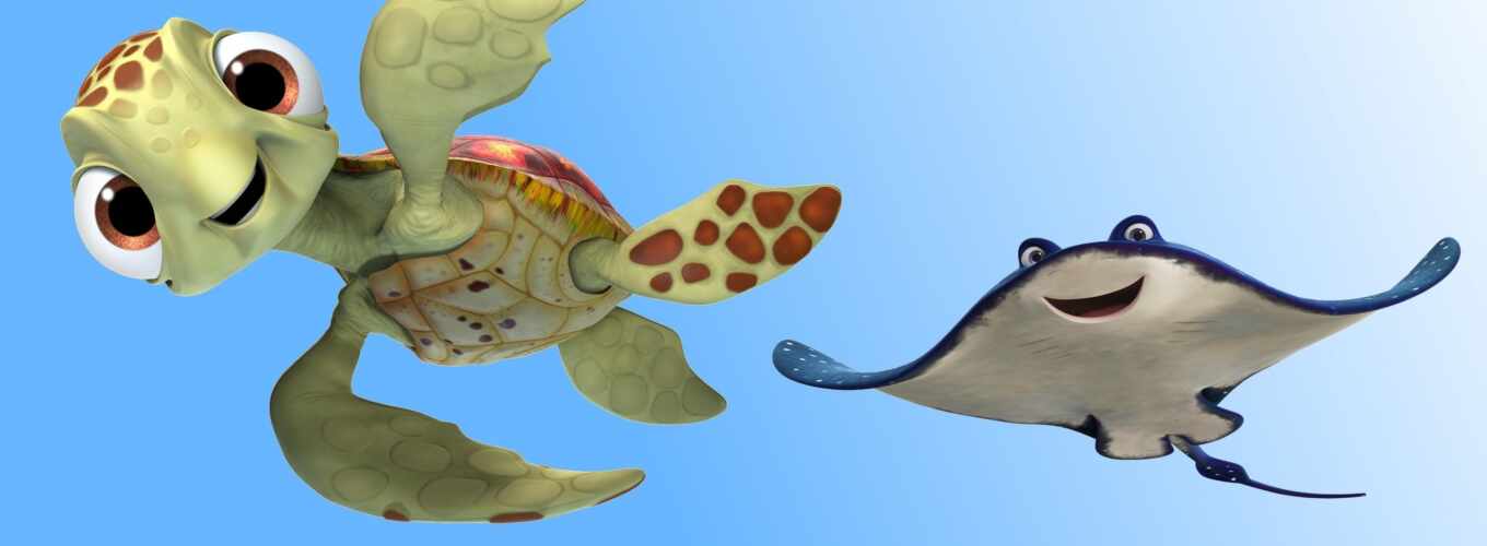 movie, to find, turtle, marine, png, shark, dory, dumb, wanted