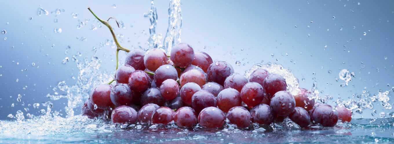 water, photos, stock, виноград, плоды, berries
