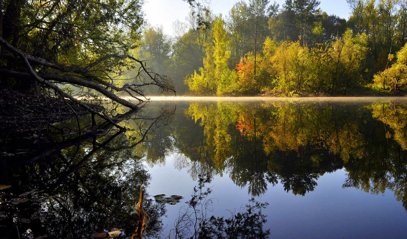 lake, nature, telephone, water, forest, free, morning, trees, reflection, to establish