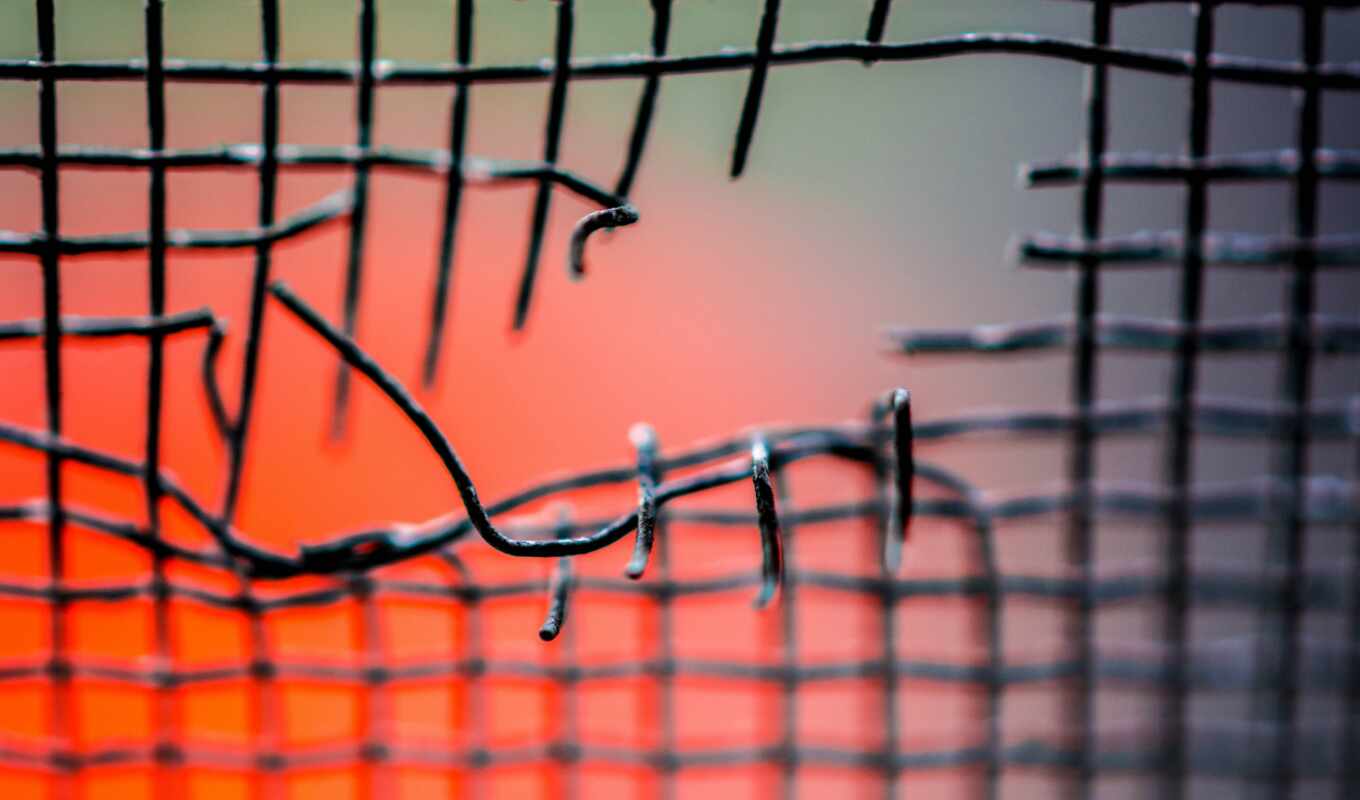 wire, fence, poem, barb