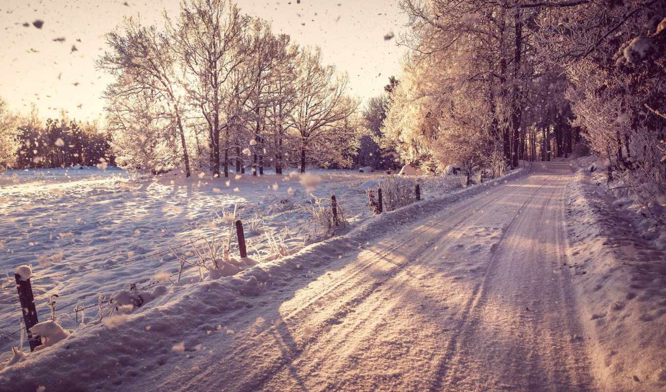 природа, снег, winter, лес, дорога, landscape, trees, зимние