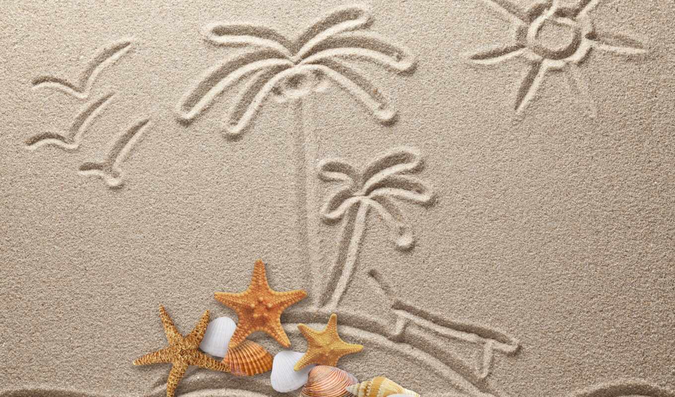 texture, drawing, sand, starfish, drawing, seashells, shells