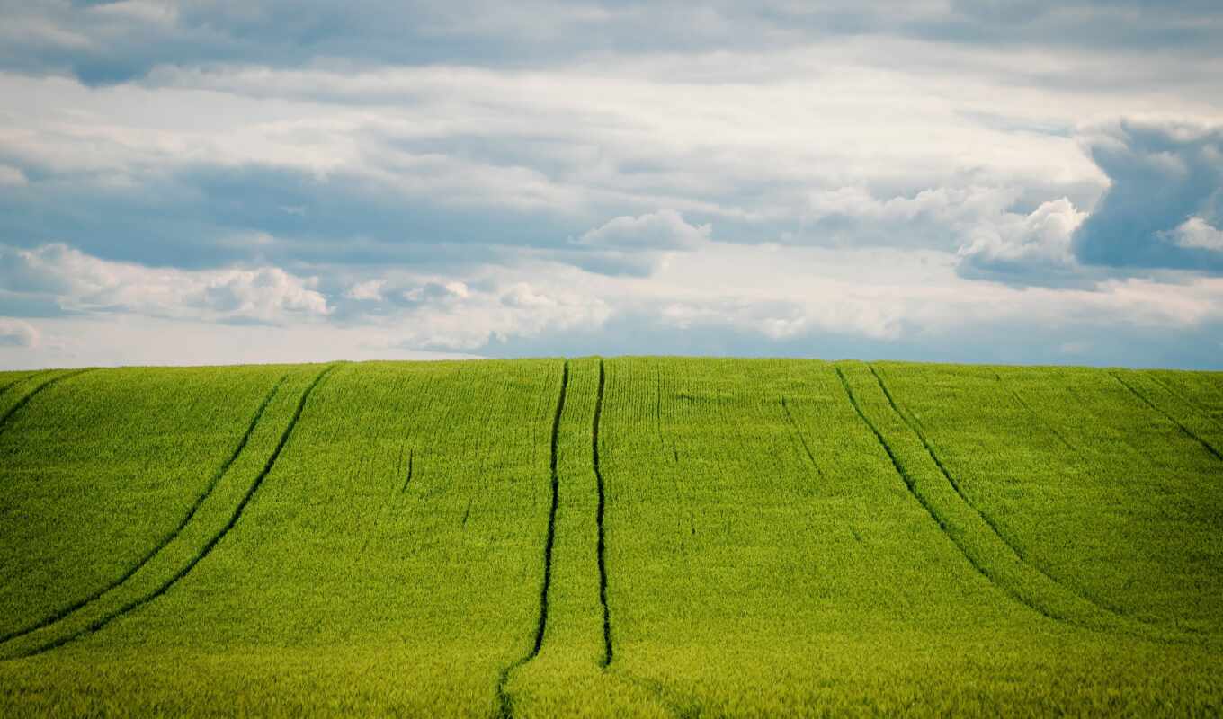 небо, зерно, поле, health, agriculture, пшеница, ячмень, domain, pixabay, нива