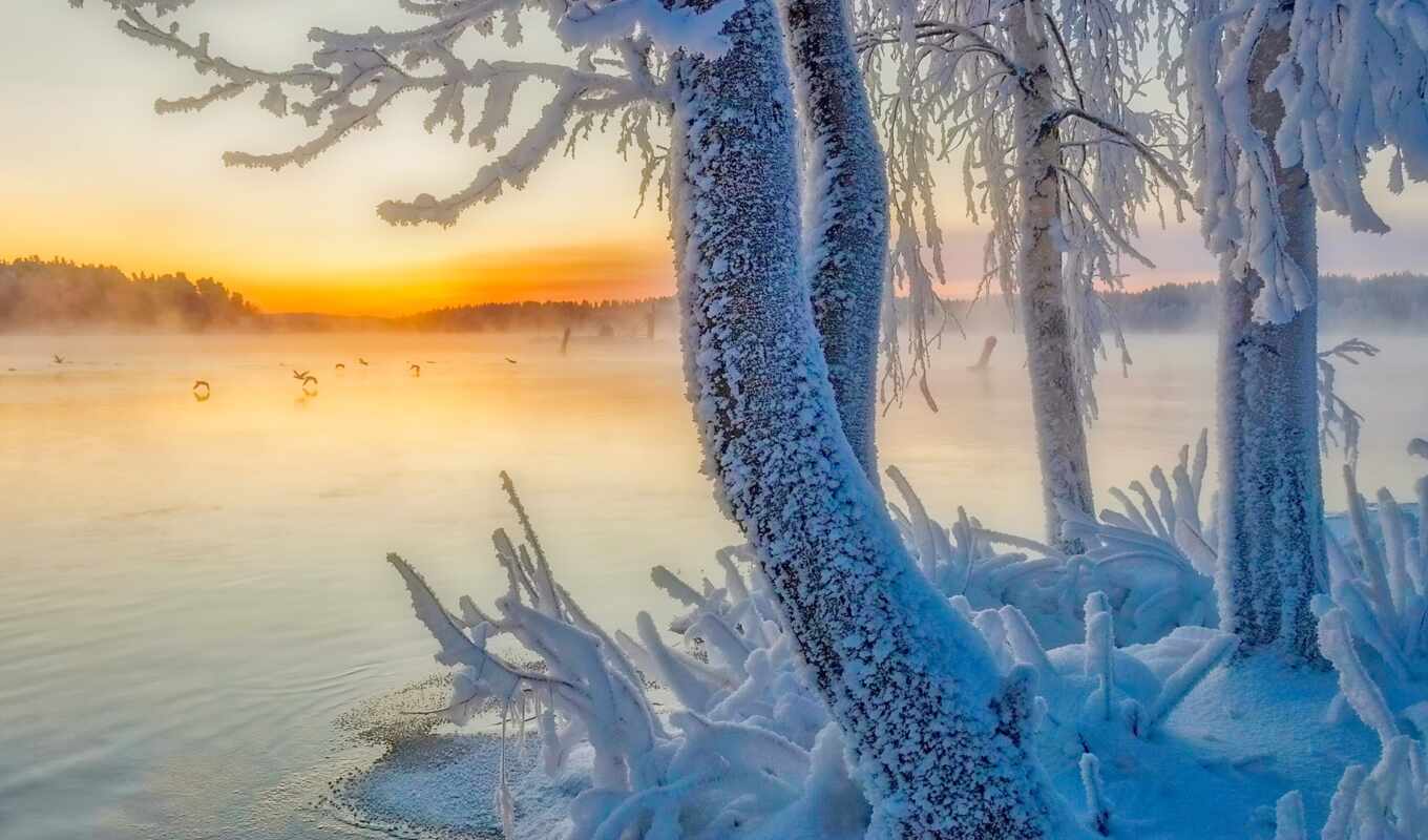 lake, phone, Finland
