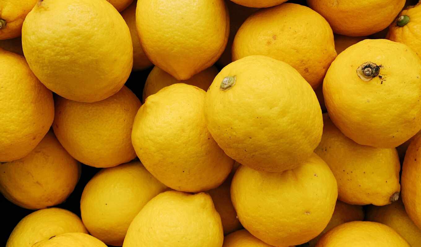 lemon, цитрус