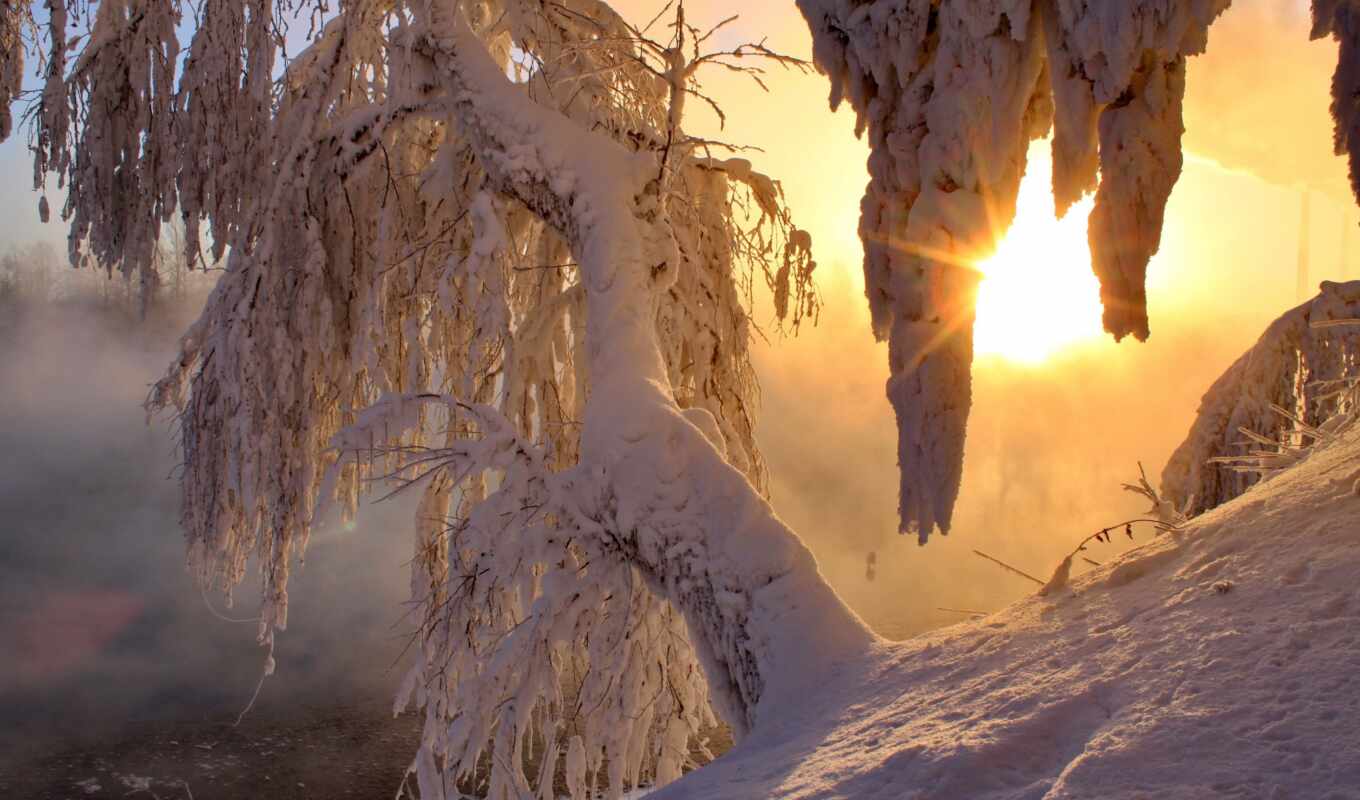 sun, snow, winter, morning, trees, rays